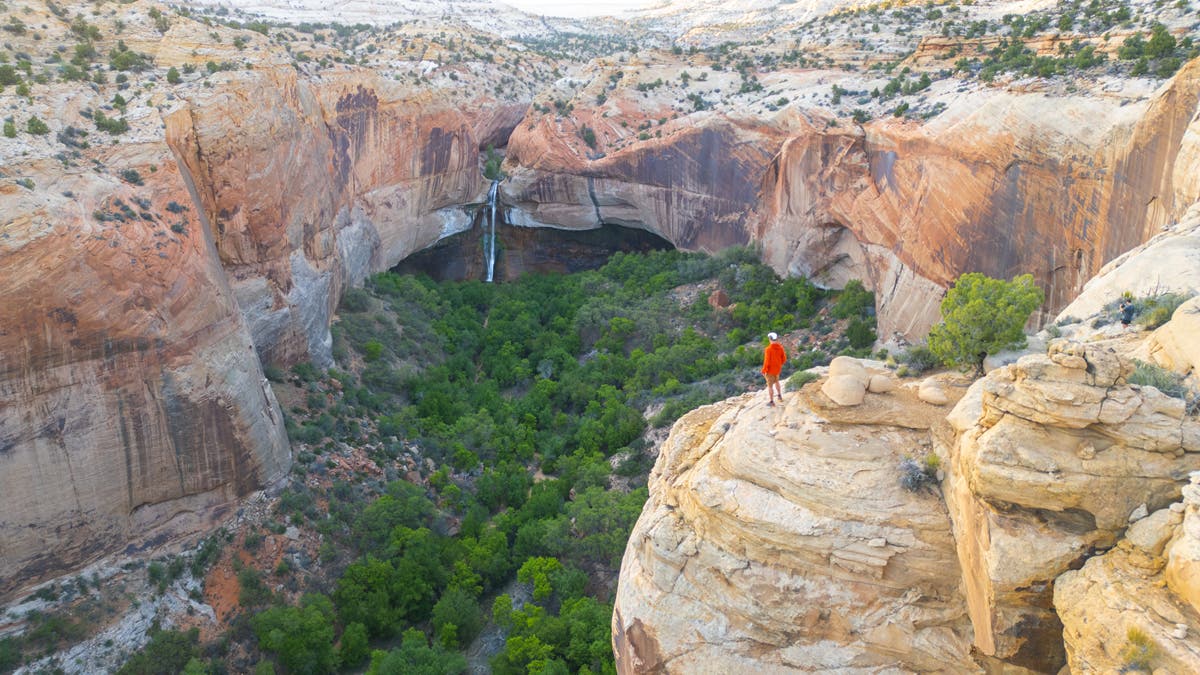 Austin Jackson is exploring nature in this wide-angle shot