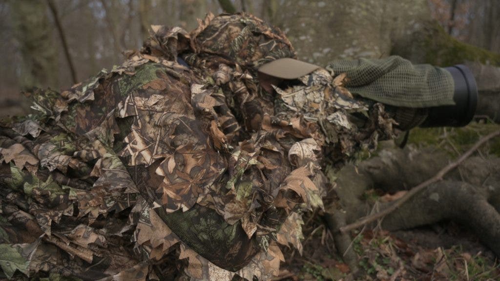 Ready for Wildlife but at the wrong time