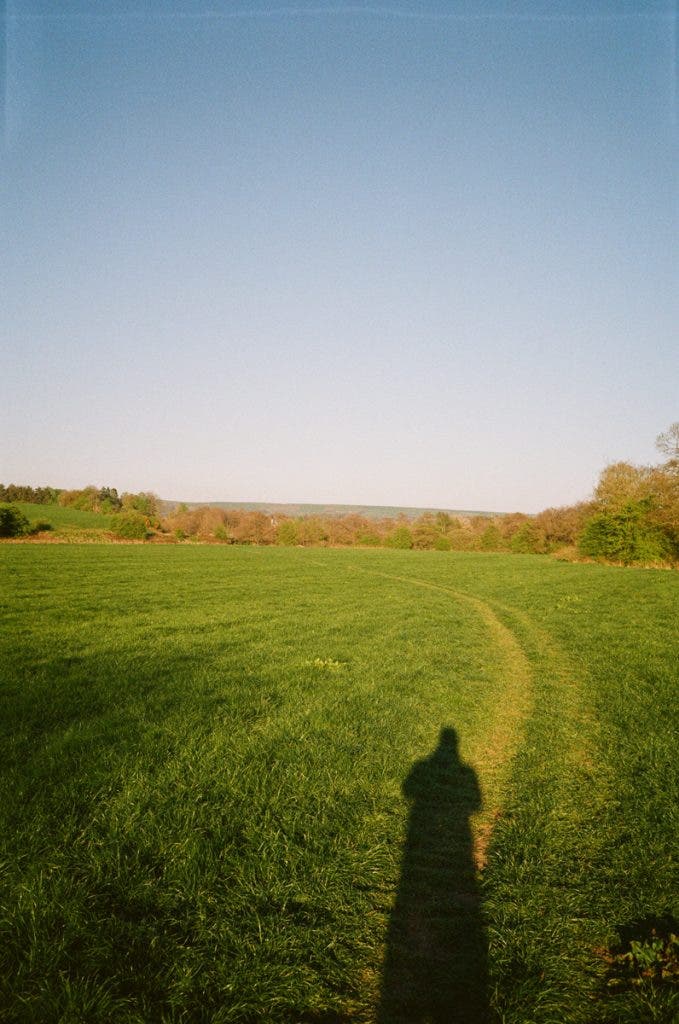 portrait of a shadow in a field captured with a point and shoot