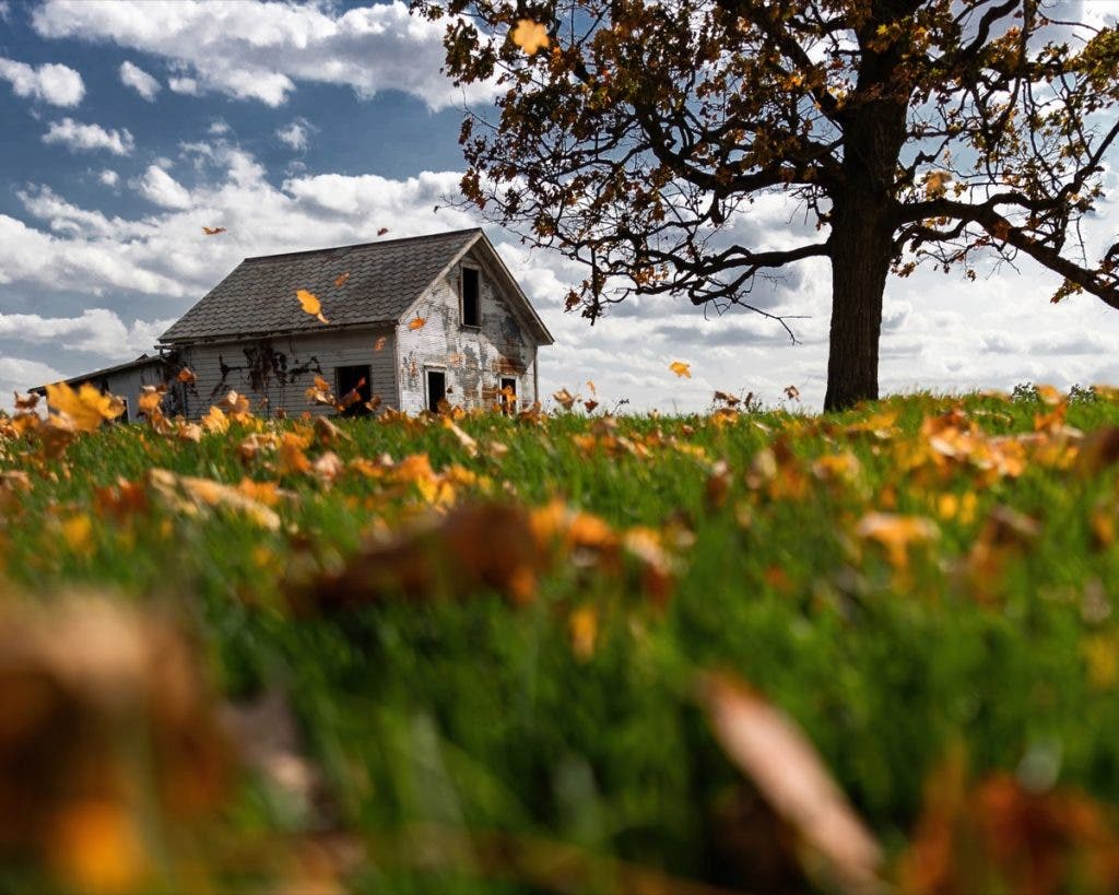 A house with falling leaves in the foreground as well as waving grass