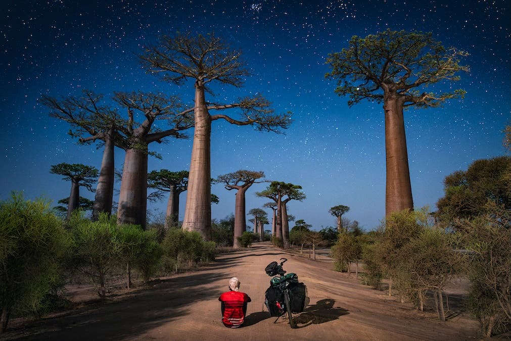 A Night at the baobas