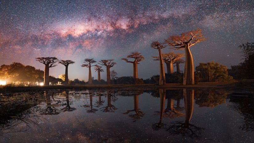 Milky Way above L'Avenue des Baobabs, a tourist hotspot. A photo by Kamran that helps save lives.