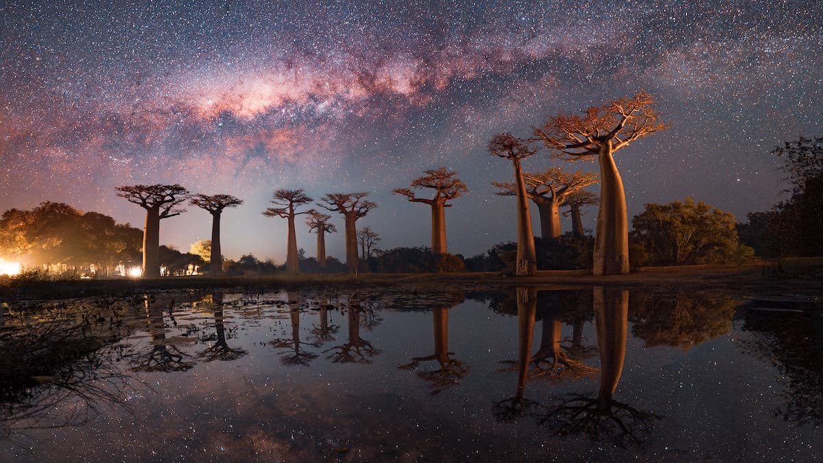 Milky Way above L'Avenue des Baobabs, a tourist hotspot. A photo by Kamran that helps save lives.
