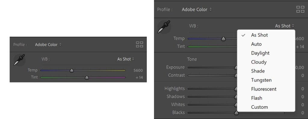 The editing software features two sliders, named Temperature and Tint, for adjusting White Balance. -Photo by Muji