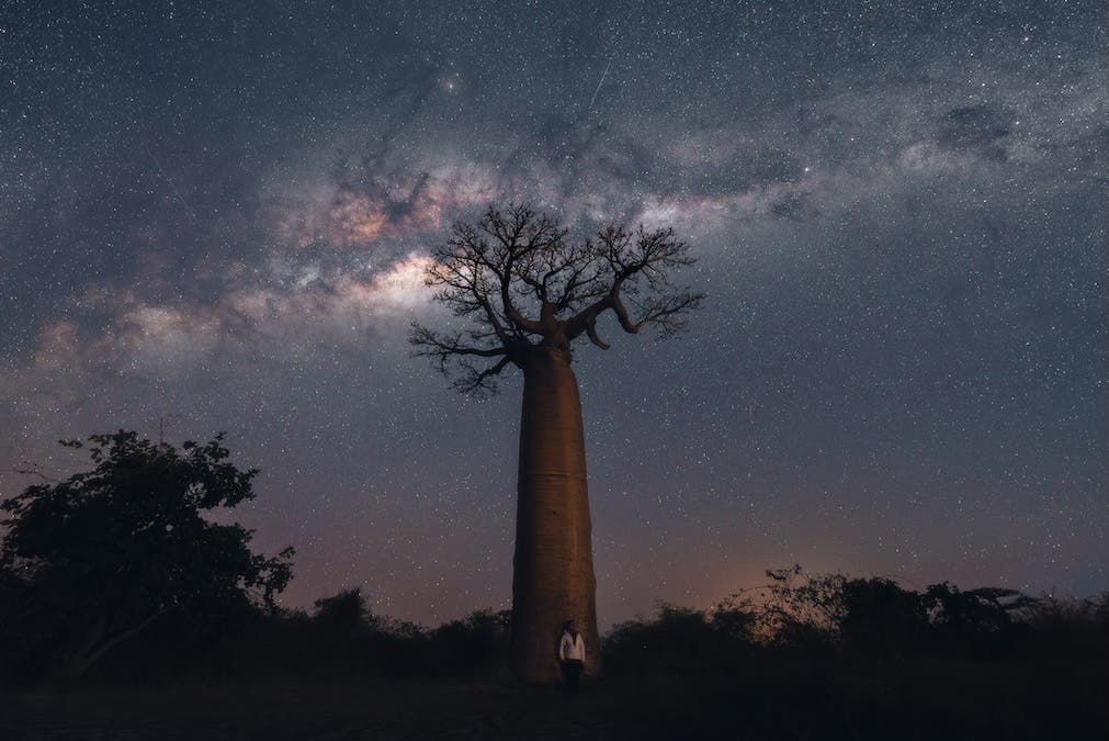 Man, Baobab and the Milky Way: A photo taken as the blue hour ended and Nautical Twilight started