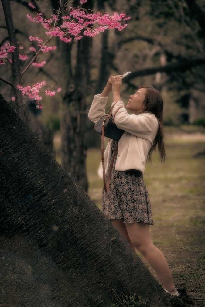 A girl taking a picture of cherry blossoms in Japan. I cannot recall any reasons behind taking this photo other than its charm