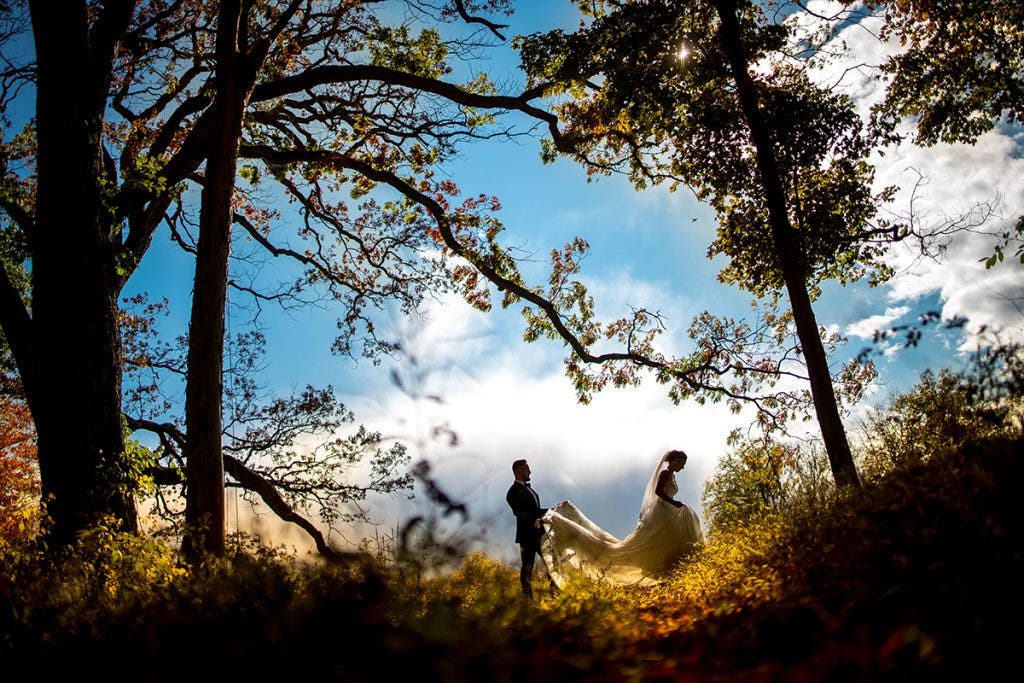 A backlit wedding couple framed by dark, towering trees in a forest as the groom assists with the bride's train, shot by Susan Stripling.A backlit wedding couple framed by dark, towering trees in a forest as the groom assists with the bride's train, shot by Susan Stripling.