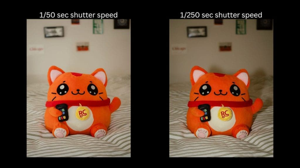 1/50 sec vs 1/250 sec shutter speed free comparison photo