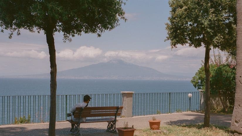 a bench under the shade of a tree during springtime