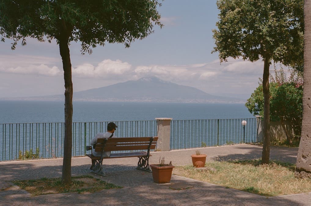 a bench under the shade of a tree during springtime