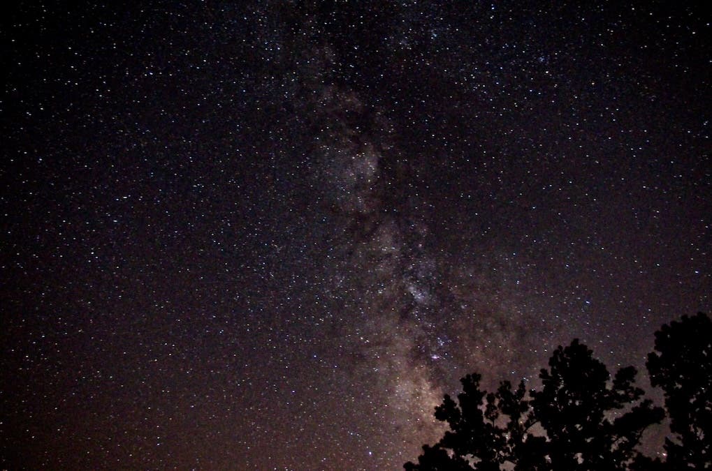 Photo of the Milky Way Galaxy Core arching over trees in a Bortle 3 sky