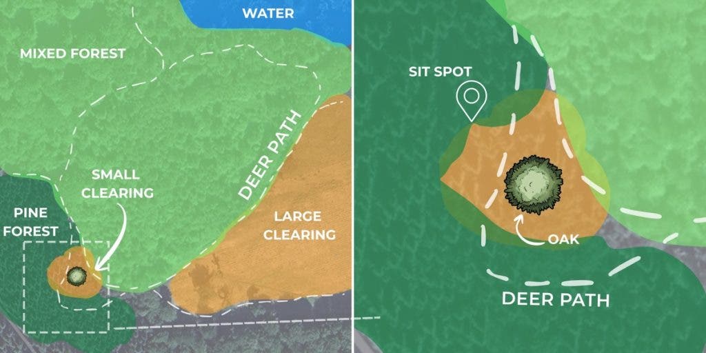 A two-panel illustrated map by Peter Dam detailing a specific landscape. The left side shows a mixed forest, water source, and deer path; the right side zooms in on a "sit spot" next to an oak tree. All locations on this map were documented within a 5-mile radius of his home.