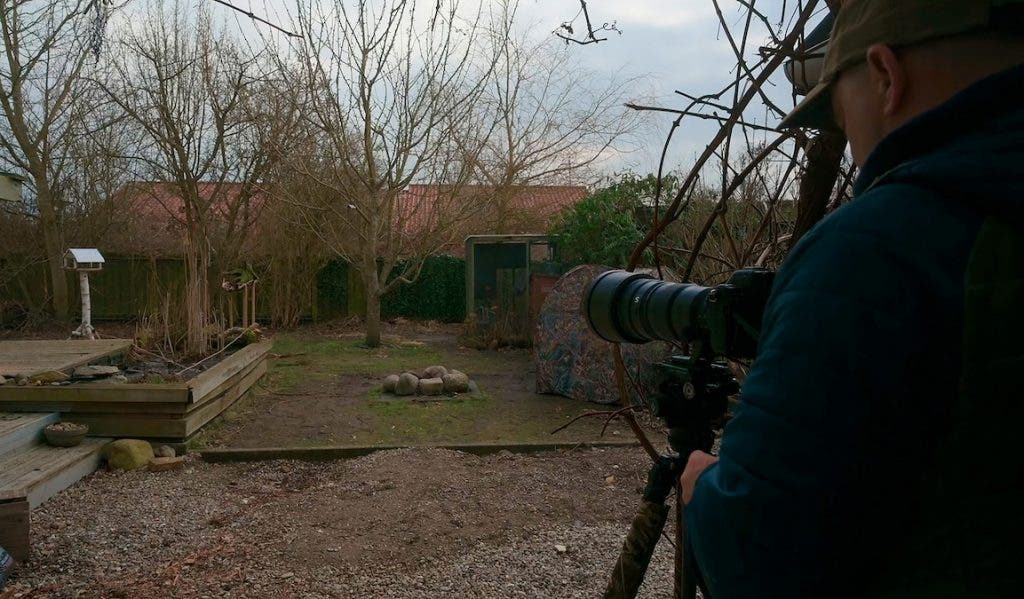 Camera Position in bird photography with no cover