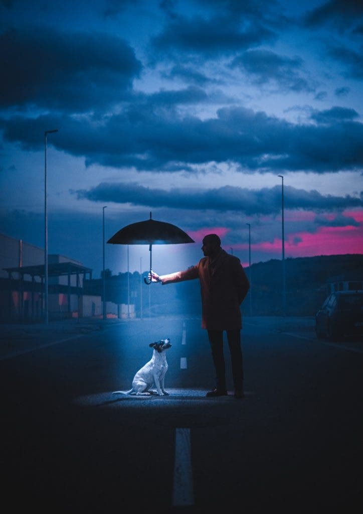 A moody twilight scene on an empty asphalt road under a cloudy blue and pink sky. A man in a tan coat stands holding out a dark umbrella over a small, spotted dog sitting patiently on the ground. A bright, cool beam of light shines directly down from inside the umbrella, illuminating the dog in a dramatic spotlight on the road. Created by Jordi Koalitic.