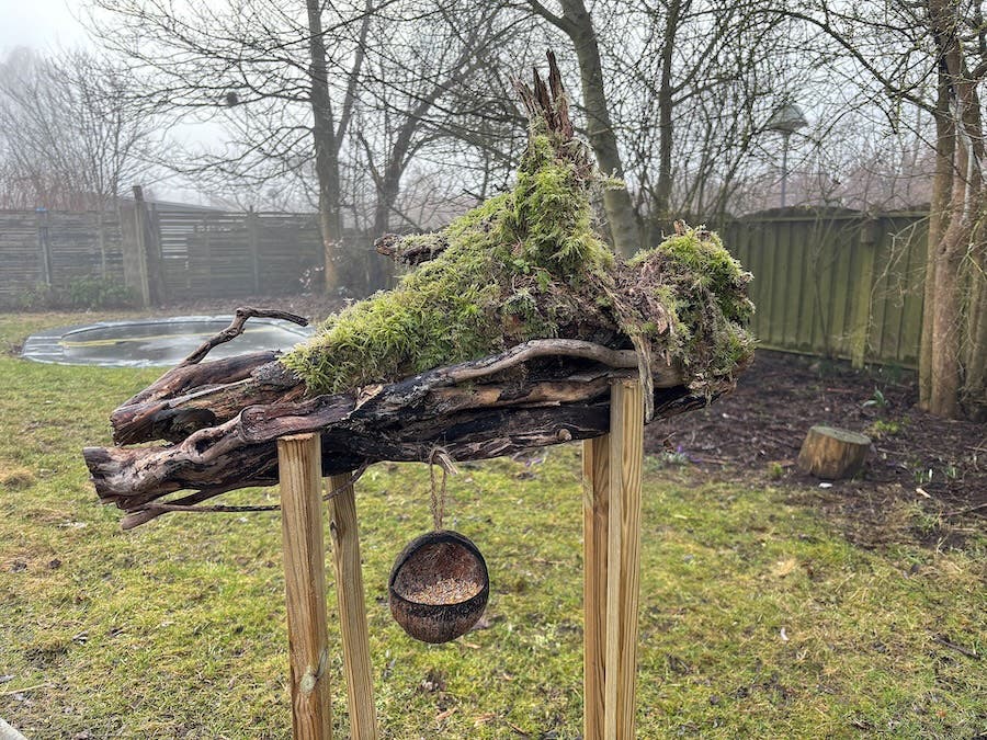 Perch with feeder below