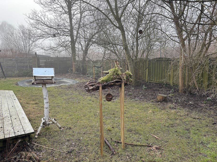 Tree Perch Feeder