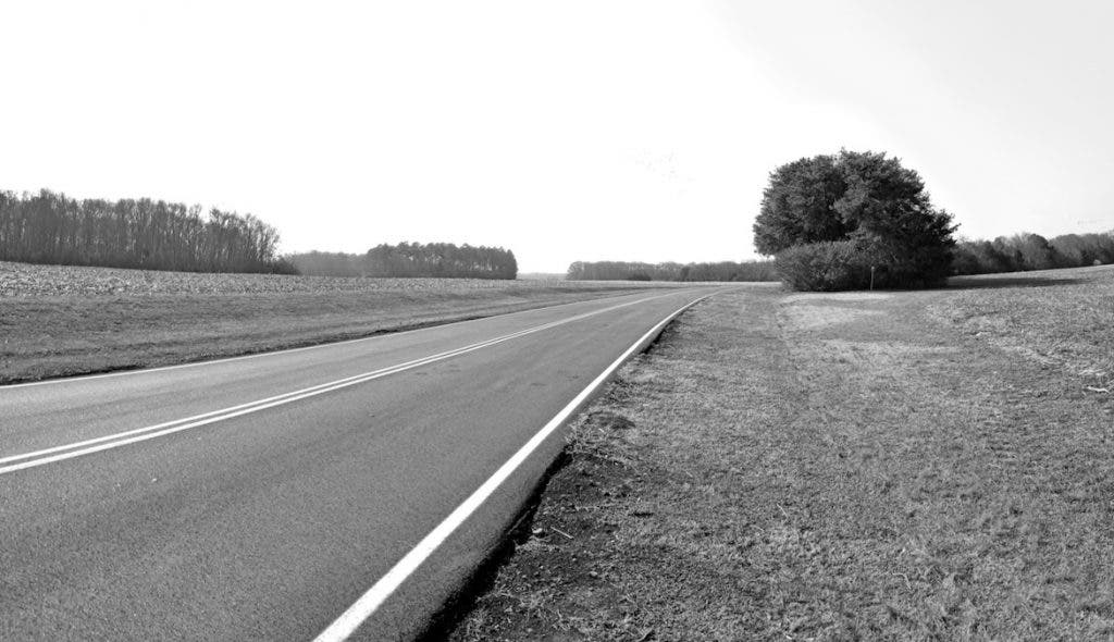 Black and white landscape photograph of a road cutting through cut fields next to a lone tree