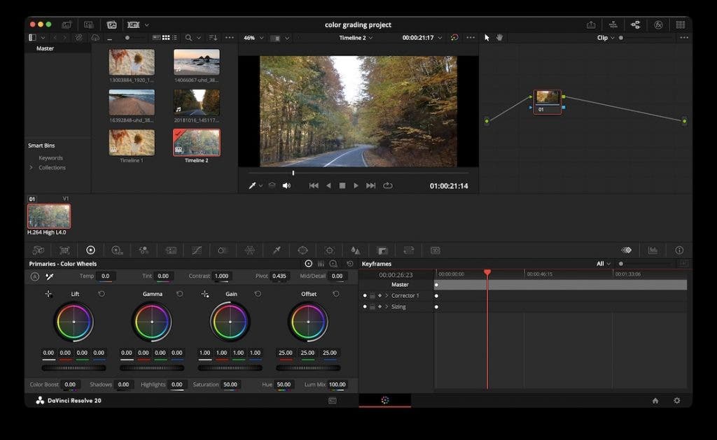 DaVinci Resolve software interface on the Color page. The layout includes a media pool on the top left, a central viewer showing a scenic autumn road, a basic node tree on the top right, and the primary "Color Wheels" adjustment panel across the bottom left.