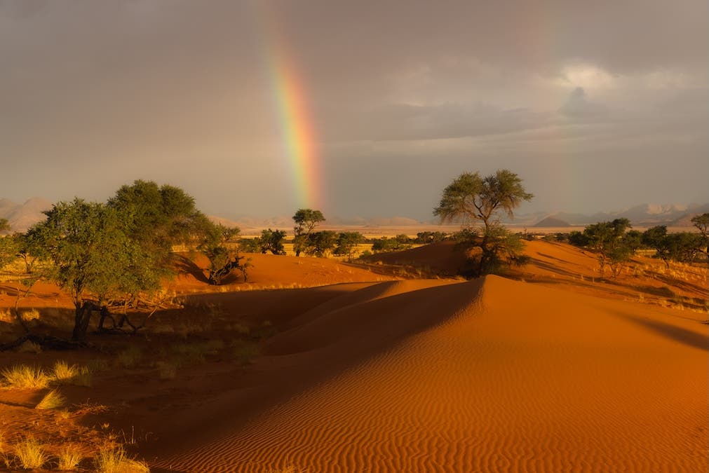A horizontal landscape photograph of rolling orange sand dunes with distinct wind ripples in the foreground. Several green trees are scattered across the dunes and the plain in the middle distance. A bright rainbow descends straight down from a dramatic, dark gray storm sky, contrasting with the warm, sunlit sand below.