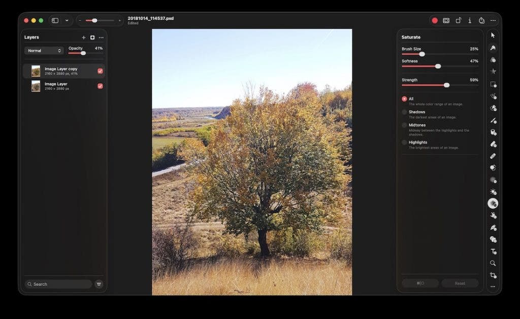 Pixelmator Pro's workspace showing an autumn tree landscape. The right-hand sidebar displays the settings for a "Saturate" brush tool, with sliders for Brush Size, Softness, and Strength, and target options for All, Shadows, Midtones, or Highlights