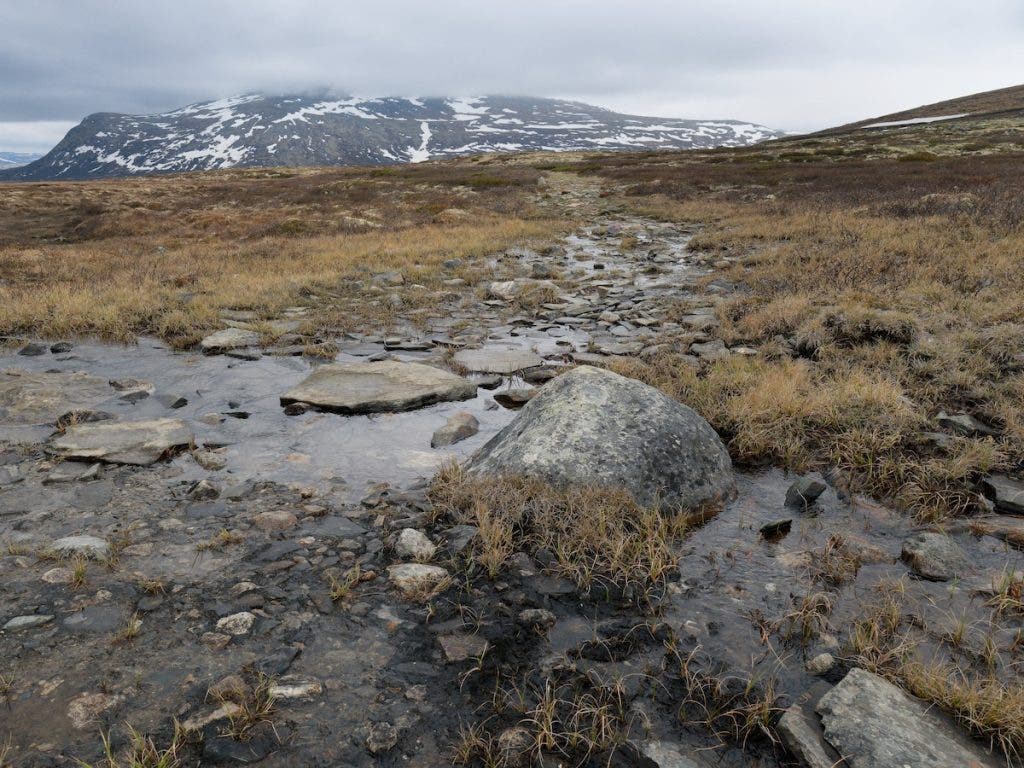 A rugged landscape view of a rocky, water-logged trail leading through brown vegetation towards a snow-patched mountain under an overcast sky
