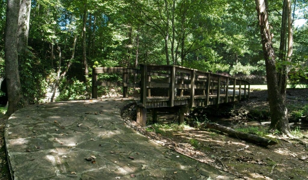 A shaded woodland bridge with stone path shot on an MFT camera
