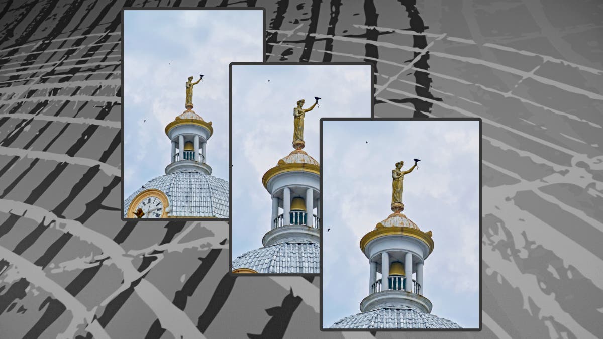 Grayscale photograph of industrial-style lines with an overlay of three images of a statue and crow showing full frame, APS-C, and Micro Four Thirds crop size comparisons