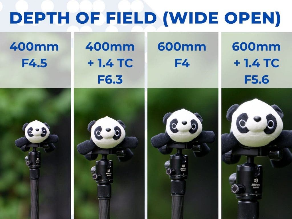 An informational panel titled "DEPTH OF FIELD (WIDE OPEN)" displaying four vertical comparisons of a plush panda on a tripod at "400mm F4.5", "400mm + 1.4 TC F6.3", "600mm F4", and "600mm + 1.4 TC F5.6"