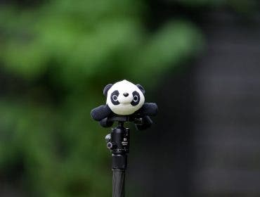 A plush panda toy on a tripod head, shot at medium distance against a dark green bokeh background
