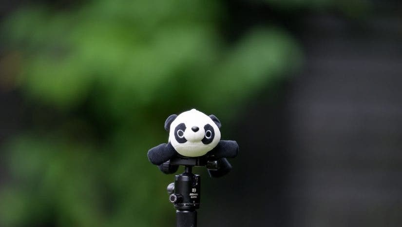A plush panda toy on a tripod head, shot at medium distance against a dark green bokeh background