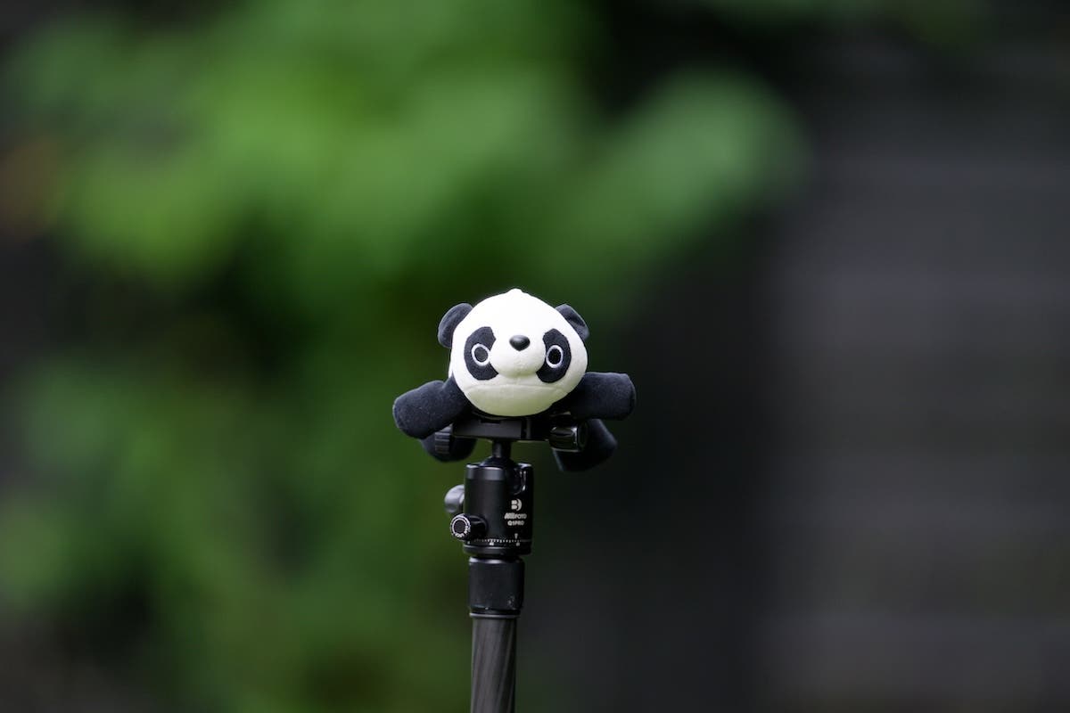 A plush panda toy on a tripod head, shot at medium distance against a dark green bokeh background