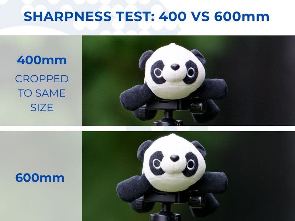 A split comparison image titled "SHARPNESS TEST: 400 VS 600mm" showing close-up crops of a plush panda toy on a tripod head, with the top frame labeled "400mm CROPPED TO SAME SIZE" and the bottom frame labeled "600mm"