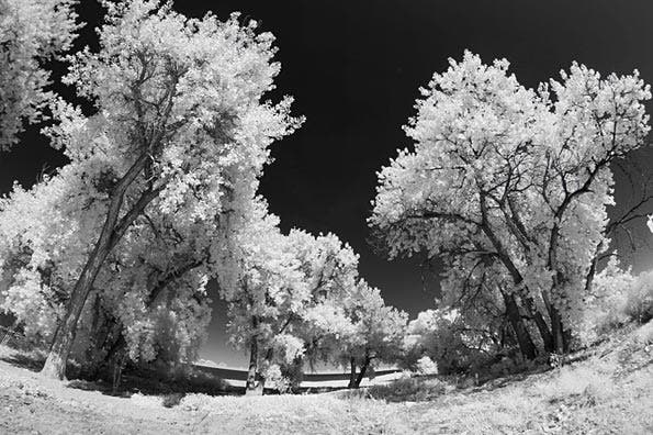 Shot with an infrared twist