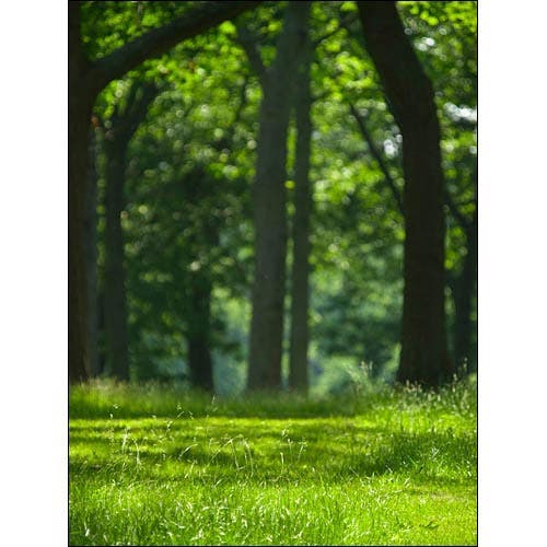 Mown path