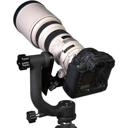 Bird Photography Gear