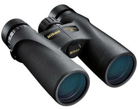 Bird Photography Gear