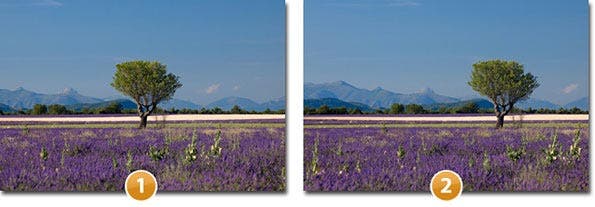 rule of thirds examples before and after