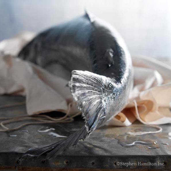 Food photography tips photo by Stephen Hamilton