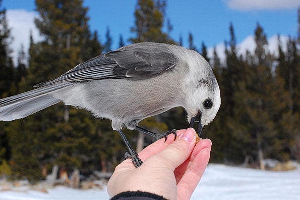 Ken Rockwell Photo Contest