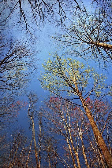 Ken Rockwell Photo Contest