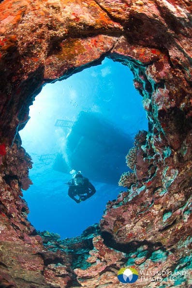 Wide Angle Closeup Underwater Photography