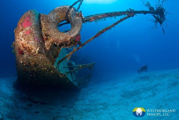 Wide Angle Closeup Underwater Photography