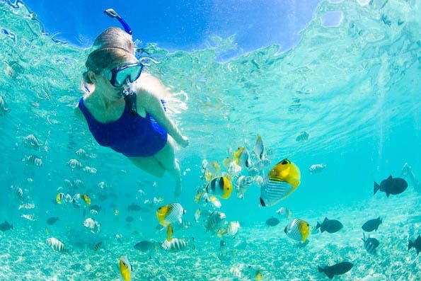 Underwater Photography Composition