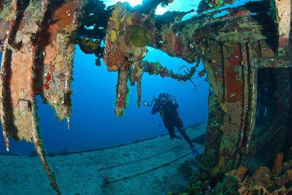Underwater Photography Composition