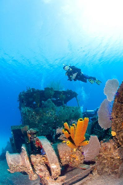 Underwater Photography Composition