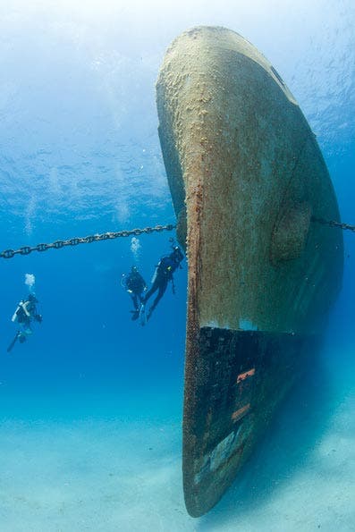 Underwater Photography Composition
