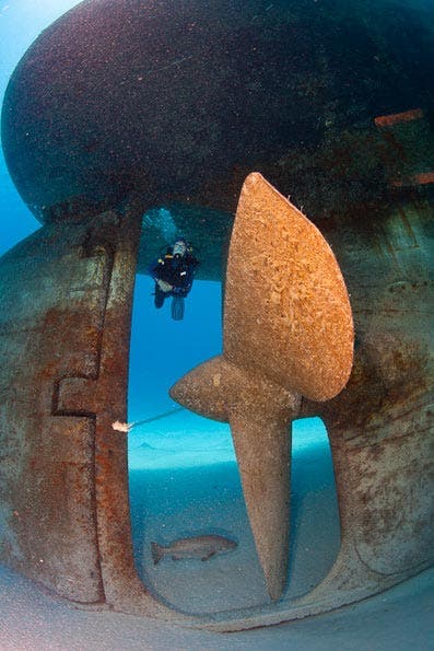 Underwater Photography Composition