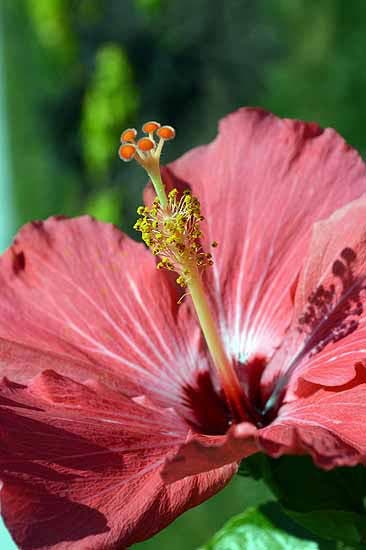 Nikon D3200 sample photo