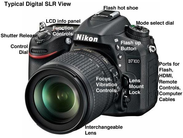 geur Me Walging Digital SLR Buying Guide: Digital Single-Lens Reflex DSLR Cameras | Expert  photography blogs, tip, techniques, camera reviews - Adorama Learning Center