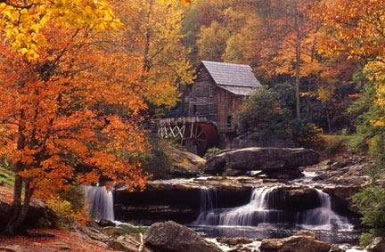 autumn leaves photography tips
